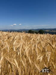 2025-07-05 Sauwaldtrail - IMG_3916